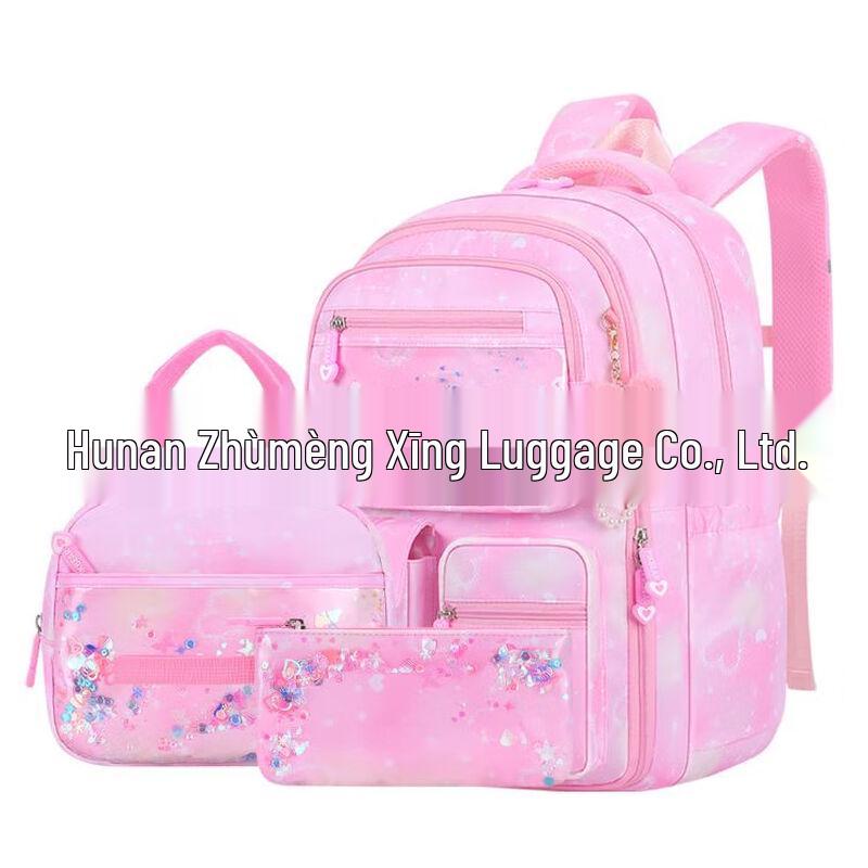 

SAIERNA Lightweight Student Backpack with Lunch Bag Set