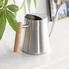 Indoor Watering Can Stainless Steel Wooden Handle Watering Pot with   Spout for House Plants Flowers Succulents Bonsai 1L