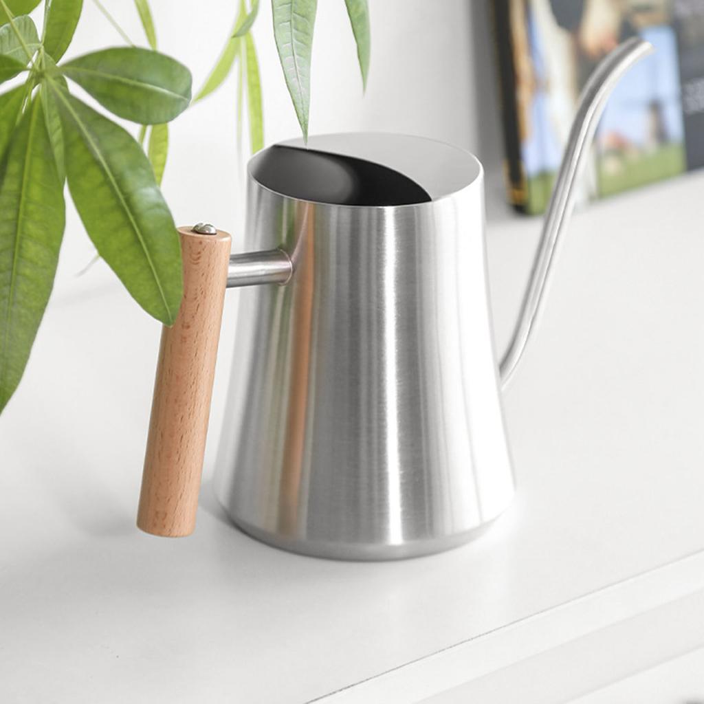 Indoor Watering Can Stainless Steel Wooden Handle Watering Pot with Spout for House Plants Flowers Succulents Bonsai 1L