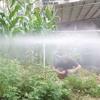 2/3/4 Karos Automatikus Forgó Öntözőfej 360 Fokos Forgás Sárgaréz Gyepöntöző Sprinkler Fejek Kerti Kiegészítők Öntöző Fúvóka