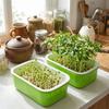 2Pcs High Ventilation Germination Tray Double Layer Grow Nursery Plate  Household Cultivation