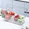 Removable Chilled Condiment Server Tray Organizer Clear Dispenser Garnish Tray with Lids Plastic Entertaining Fruit Serving Tray
