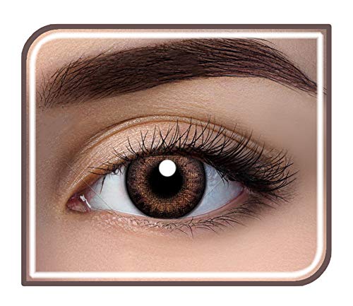 Aryan Quaterly (3 Month) Zero Power Colour Contact Lens (Pack Of 2 Lenses, WarmBrown)
