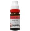 Dr. Reckeweg Calc Carb Hah Dilution - 11 Ml - 1000 CH