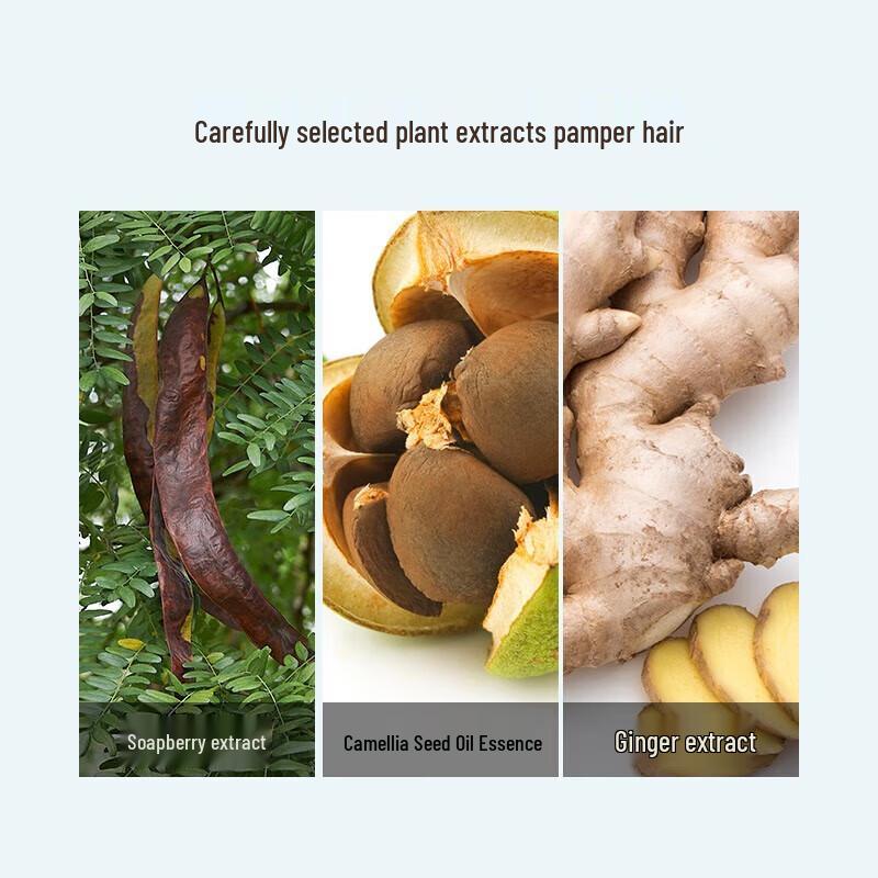 Fenghua Refreshing Anti-Dandruff Shampoo