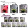 Dimmable Full Spectrum LED Grow Light with Timer and Clip for Succulents and Sunlight Imitation