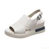 Summer Sponge Cake Thick Bottom Slope Heel Women's Sandals with One Line Buckle Casual Open Toed Fish Mouth Women's Shoes