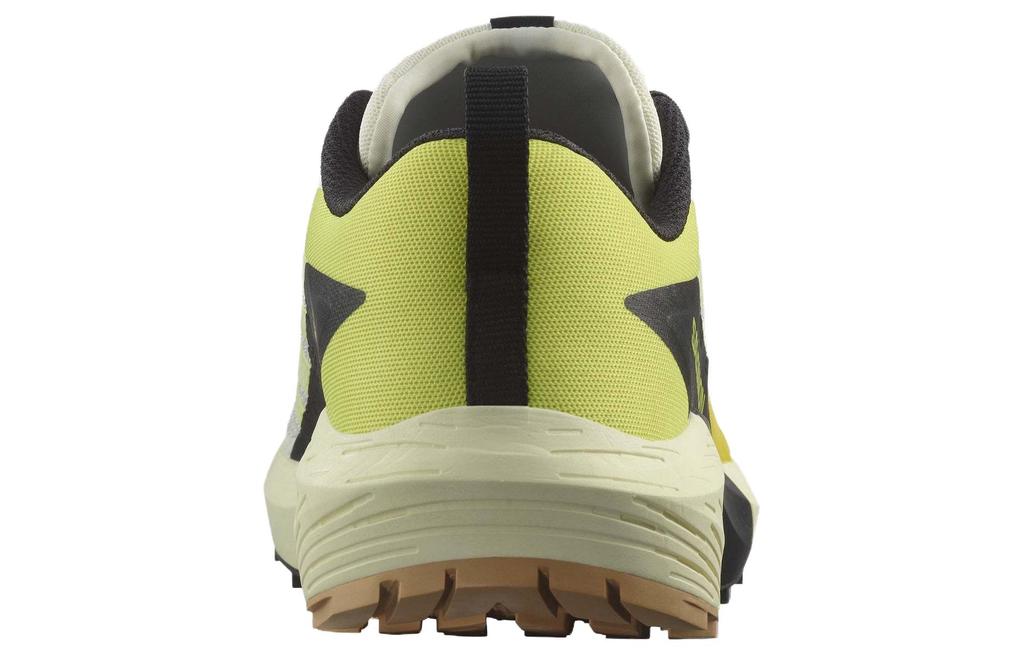 Salomon Wmns Sense Ride 5 'Vanilla Ice Sulphur Spring'