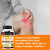 Kenofor Turmeric Curcumin Supplement, 1500mg, 95% Curcuminoids, with BioPerine, 120 Caps