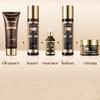 5 Stück Retinol Hautpflege-Set Gesichtswasser Essenz Creme Gesichtscreme Feuchtigkeit Anti-Aging Serum Reinigungsmittel Frauen Hautpflegeprodukte