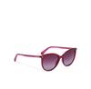 Polaroid PLD 6231/S Sunglasses
