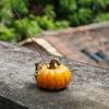 Purely Handmade Eco-Friendly Ceramic Aromatic Pumpkin-Shaped Incense Holder Base with Wabi-sabi Style Customizable