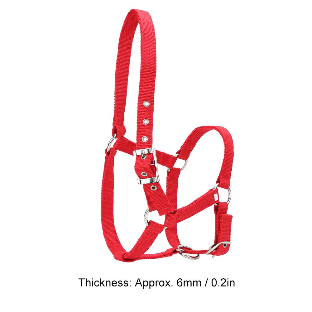 High Density 6mm Thickened Webbing Horse Bridle Control Halter Riding Accessories Red Color