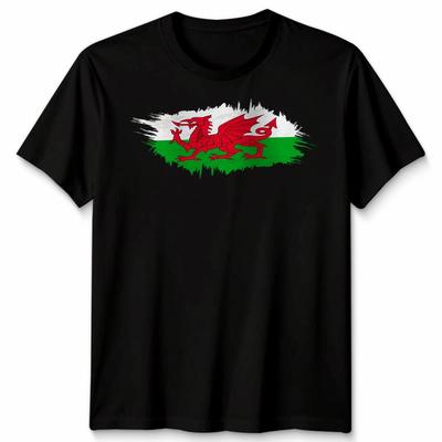 Wales Grunge Flagge Walisisch Cymru Cardiff Drache Unisex T-Shirt Geschenk