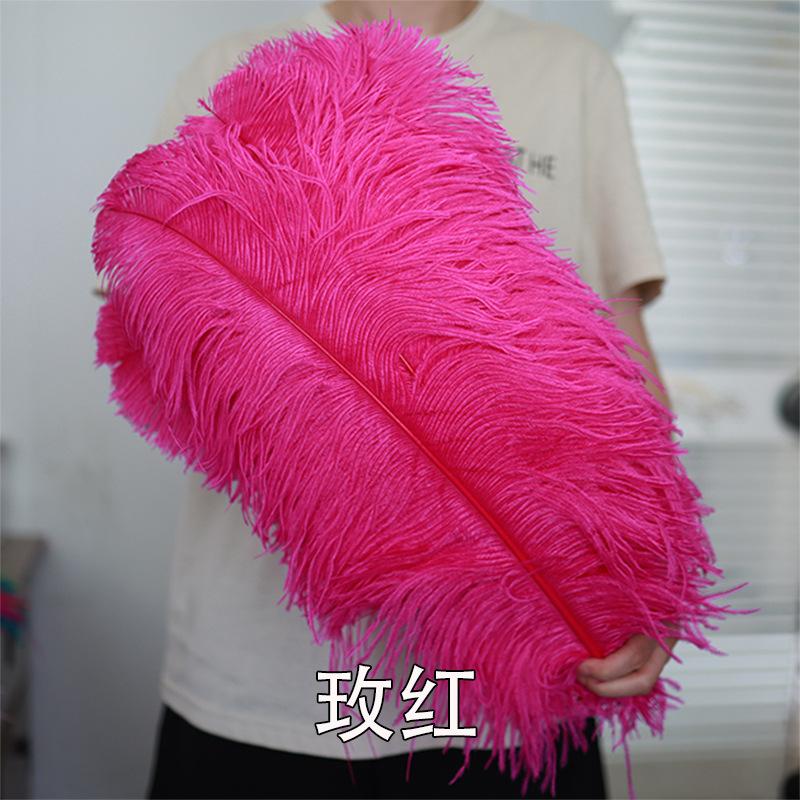 Thick Rod Wide Hair 50-55Cm Ostrich Feather Wedding Road Guide Table Flower Home Decoration Ornament Ostrich Hair White
