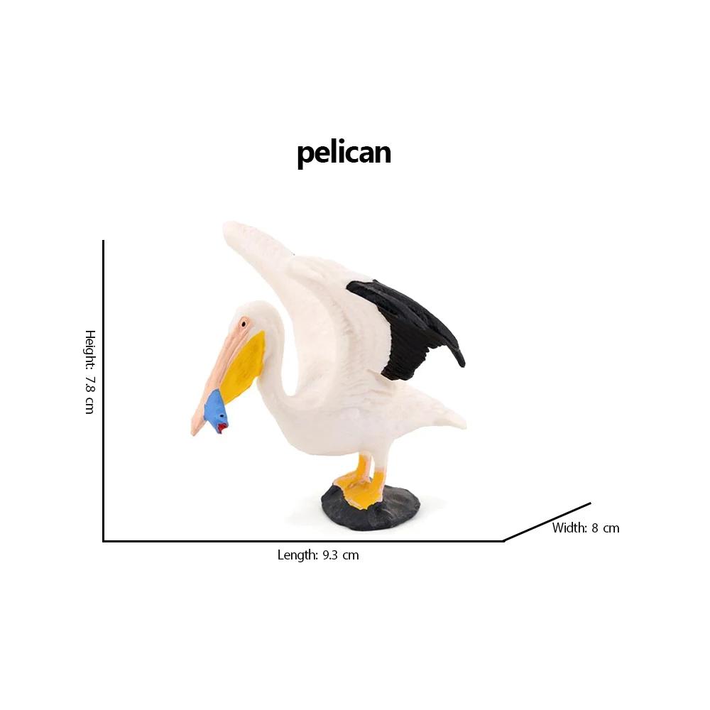 Kiwi Bird Jungle Animals Figures Peacock Phoenix Mallard Turkey Toucan Action Figure Toy Animal Figurines Toys for Kids Gifts