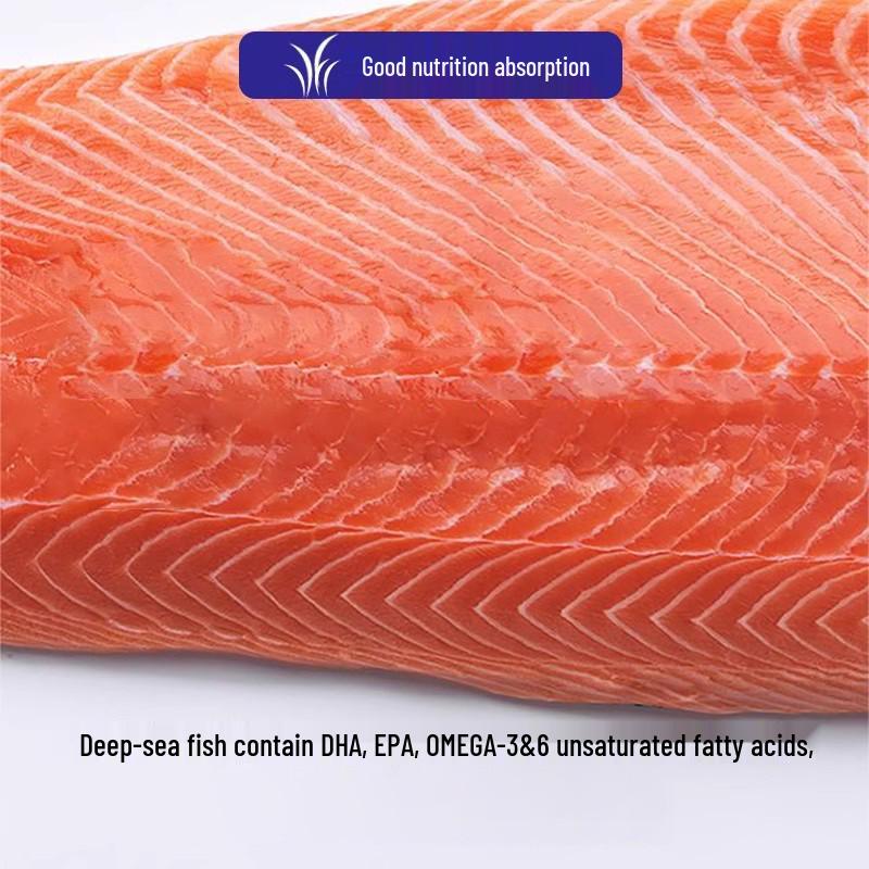 Isha Oga Teddy Golden Retriever Adult Dog Food, Milk Cake Flavor, 20kg (40lbs)