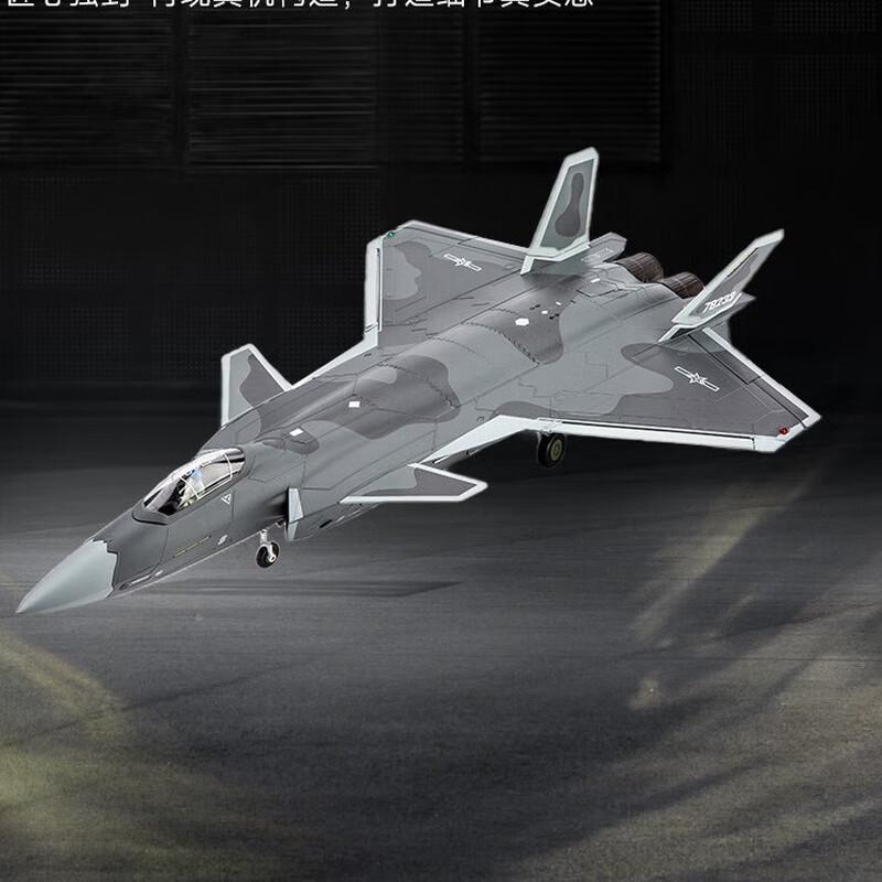 WEZHO J-20 Stealth Fighter Aircraft Model