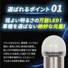 Takenous Takemura Shokai S25 LED Double Bulb 12V/24V BAY15d 180