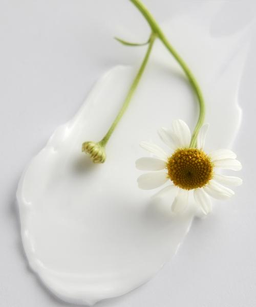 Essenceherb Anytime Quick Multi Cream 100ml