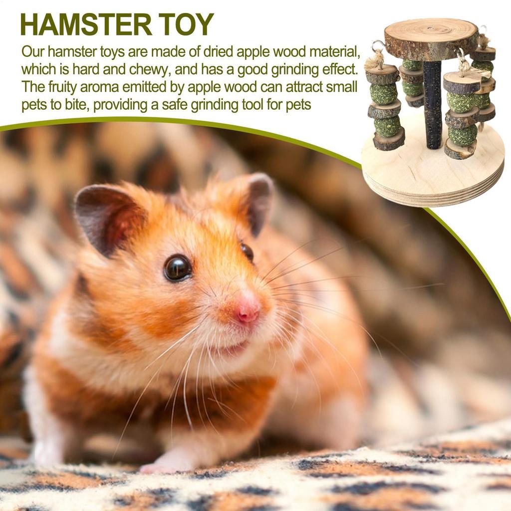 Toys For Hamsters Wooden Natural Teething Treats Hamster Chew Toys For Teeth Grinding Small Animals Mice Gerbil Chinchilla