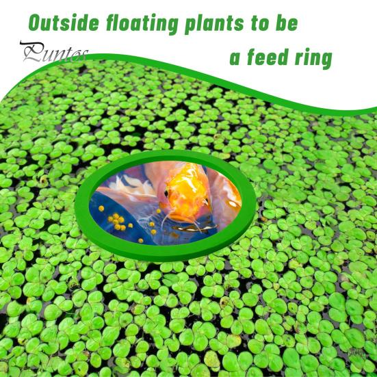 10 Pcs Aquarium Floating Plant Rings Lightweight Keep Food Plants In Place EVA Foam Floating Ring for Fish