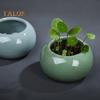 Ceramic Bowl Lotus Planter Round Mini Flowerpot Glazed Bonsai Bowl Lotus Pot for Planting Pennywort Small Hydroponic Plants