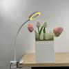 Adjustable Levels LED Magnifying Glass Lamp 5X Magnification Clip On Desk Lamp  Tattoo Art