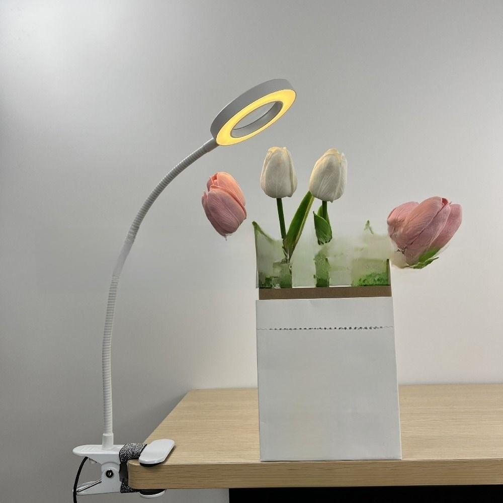 Adjustable Levels LED Magnifying Glass Lamp 5X Magnification Clip On Desk Lamp  Tattoo Art