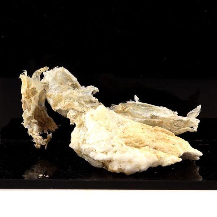 Pierres et Minéraux. Rectorite sur Calcite. 122.0 ct. La Table, Chambéry, France.