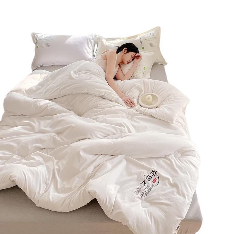 Oeny All-Season Soybean Fiber Quilt