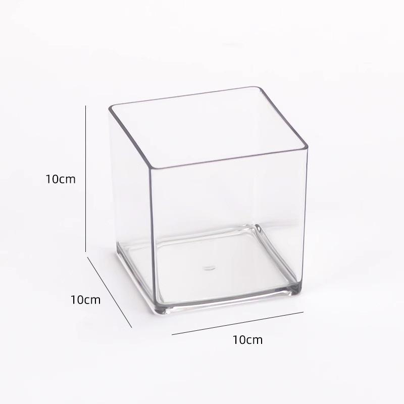 Thick Acrylic Square Vase & Fish Tank for Hydroponic Plants and Flowers