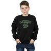 HARRY POTTER Boys Slytherin Sport Emblem Sweatshirt
