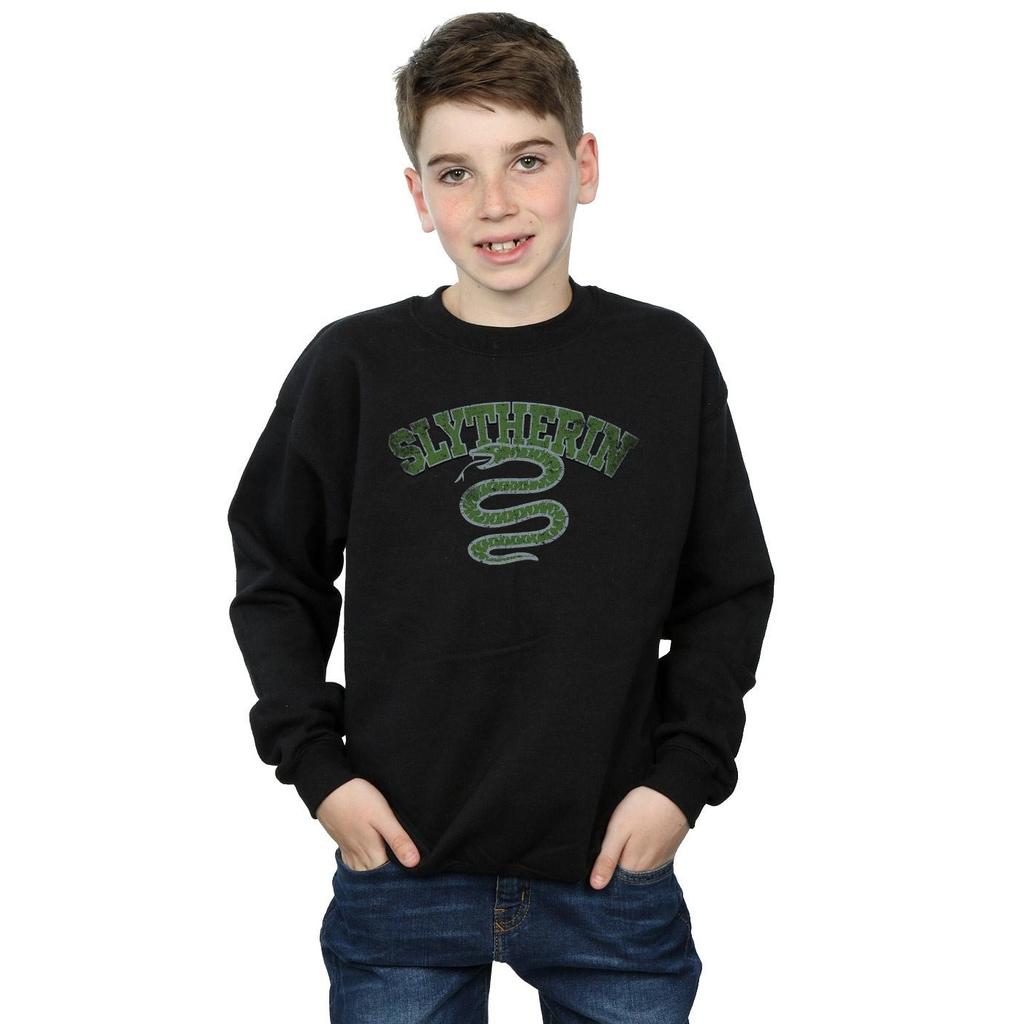 HARRY POTTER Boys Slytherin Sport Emblem Sweatshirt