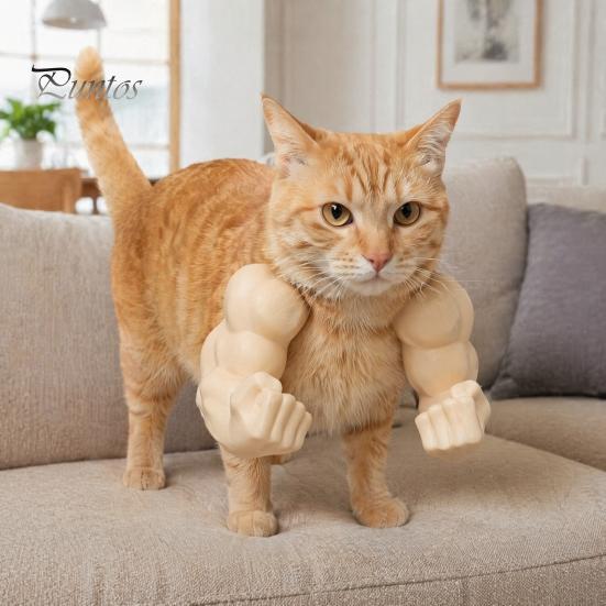 Kreative Katzen-Geburtstagsparty-Geschenke Lustige Muskelarme, Urkomische 3D-gedruckte muskulöse leichte Foto-Requisiten Schulterbefestigung für Katzen