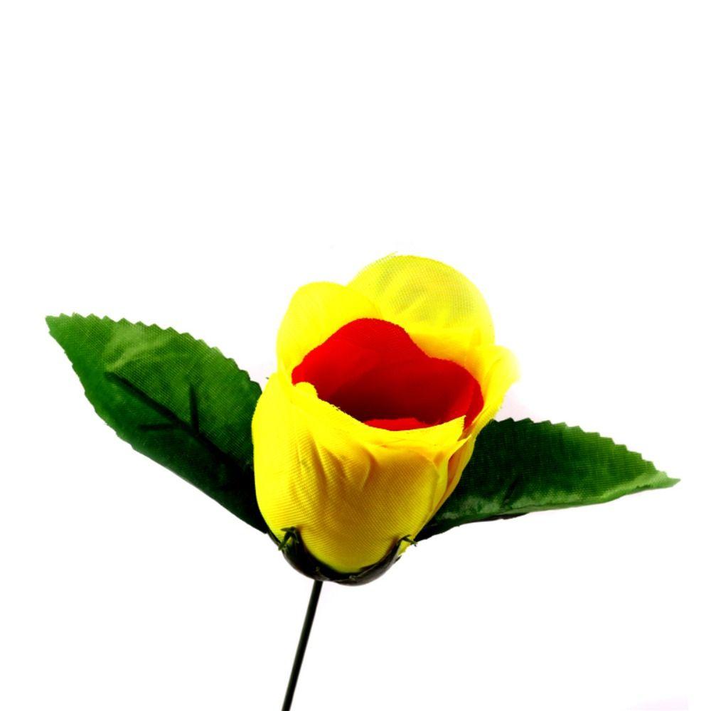 Colorful Rose Discoloration Roses Red Change Yellow Changing Color Rose  Player Magic Props