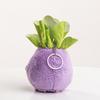 Cavoletti di Bruxelles Peluche Creativo Ciondolo Carino Cavolo Giocattolo Bambola Ciondolo Borsa Bambola Portachiavi Bambola