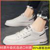 Summer men's shoes 2025 new breathable trend versatile niche design casual board shoes men's trendy shoes