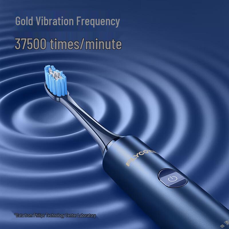 FLYCO Smart Sonic Electric Toothbrush