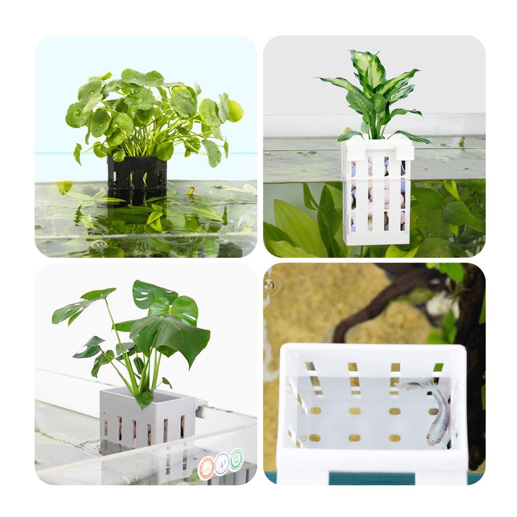 Hanging Fishtanks Plant Holder Fishtanks Plant Cultivation Holder Hydroponic Plant Support Aquariums Planting Tool 2PCS