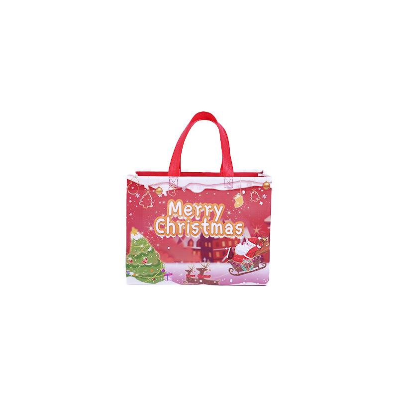 Christmas Style Laminated Non-Woven Gift Bag for Clothing & Shopping