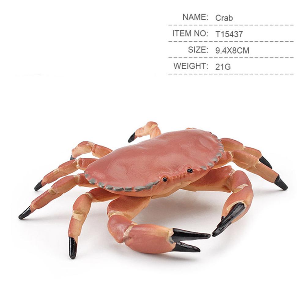 Simulation Ocean Animals Action Figure Cute Crab Sea Life Model Ornaments For Children Gifts Collection