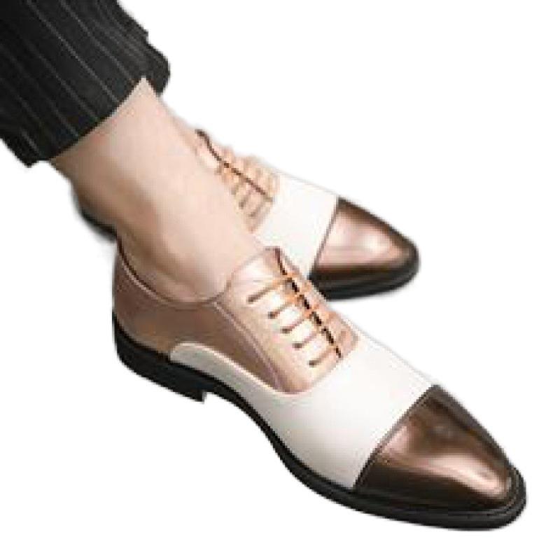 Men's Plus Size Casual Fashion Color Block Pointed Toe Leather Shoes