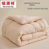 Hengyuanxiang Class A Antibacterial 10% Soybean Fiber Quilt Core