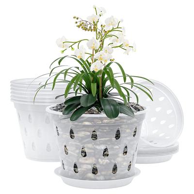 Ovocné květináče s orchidejemi zahradní rostoucí domácí dekor rostlina plast