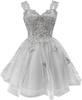 Shiny Tulle Prom Dress Teen Dress 1D Butterfly Short Dress Homecoming Dress Graduation Dress