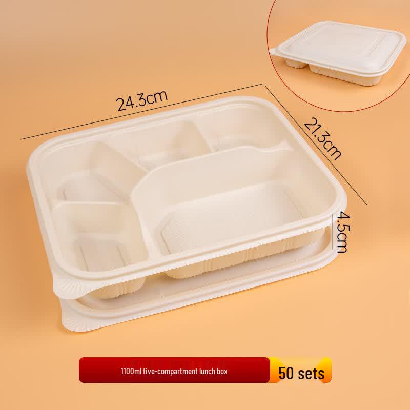 Eco-Friendly 5-Compartment Disposable Food Container