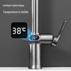 MDNG Kitchen Pull-Out Faucet