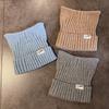 Cute Solid Cat Ears Shape Design Women Wool Knitting Hat For Fall Winter And