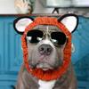 Dinosaur/Brown Bear Halloween Knitted Pet Hat Deer/Black Bull Shape Breathable Rabbit Ear Dog Hat Wool Soft Knitted Puppy Cap